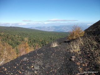 nte Zappinazzo-04-11-2012 11-26-21